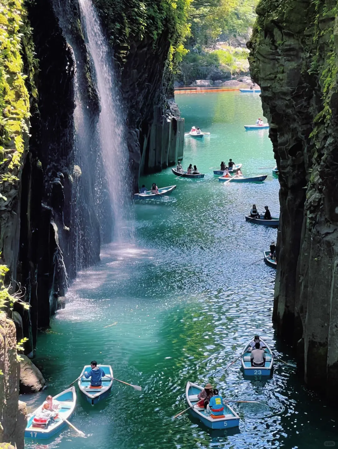 东京大阪去腻了，会玩的人都去九州了🌲