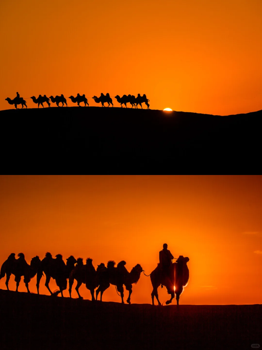 这8大景点,把银川玩到心里去