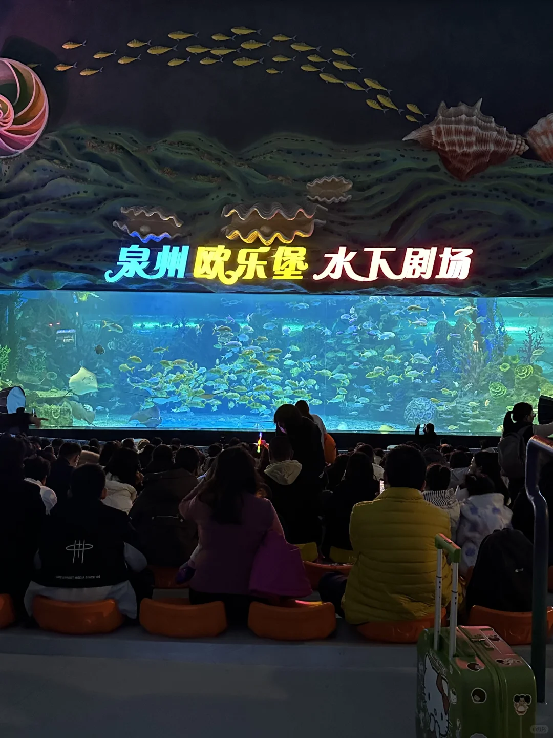 厦门周边！海上落日过山车！！！