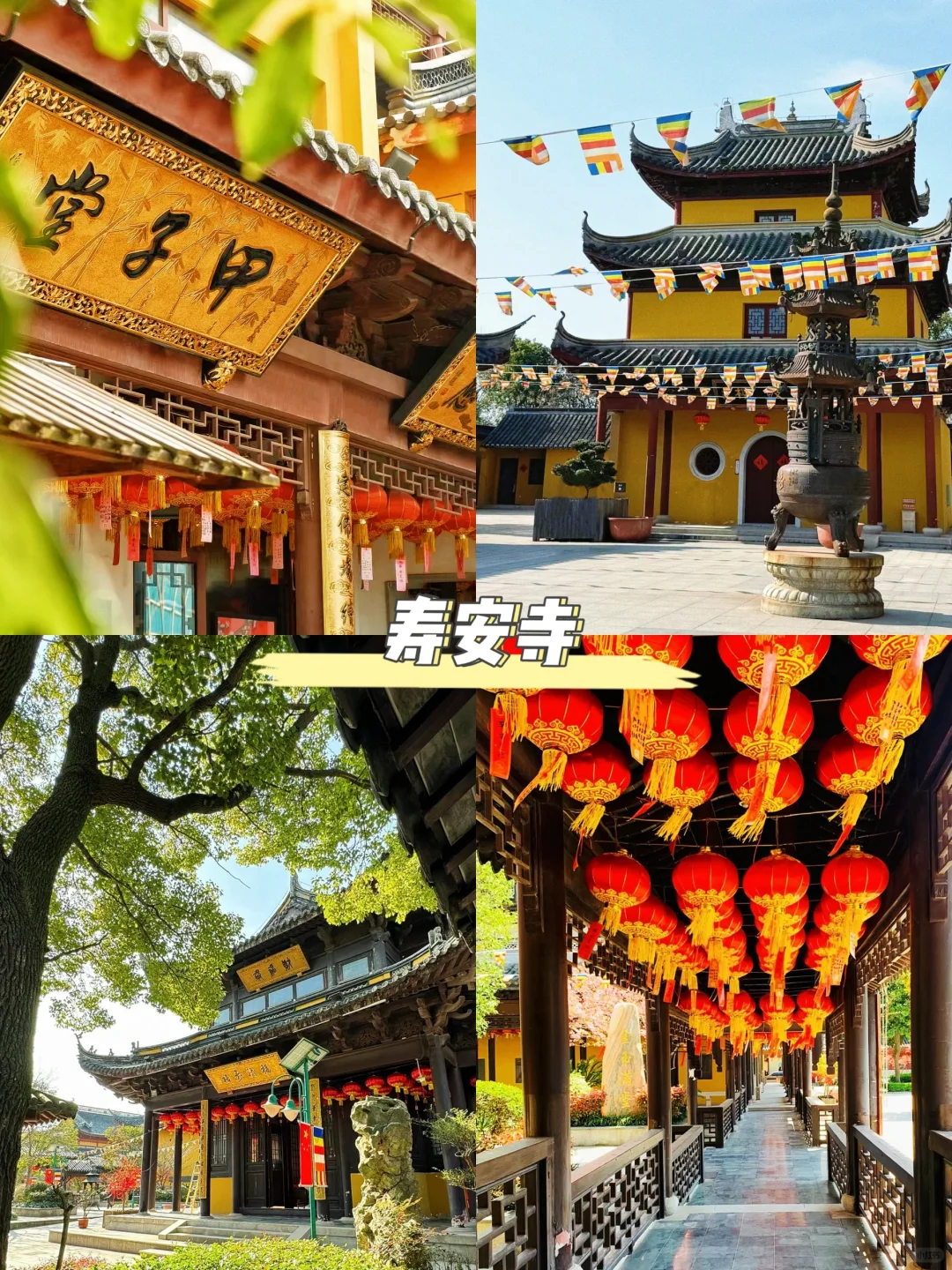 崇明适合穷游的11个免费景点！学生党快冲~