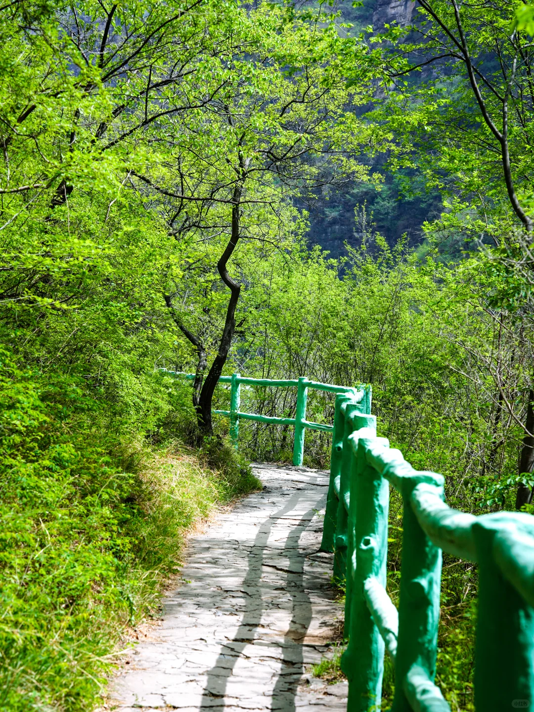 北京十万人围观的亲子徒步路线开放啦‼️