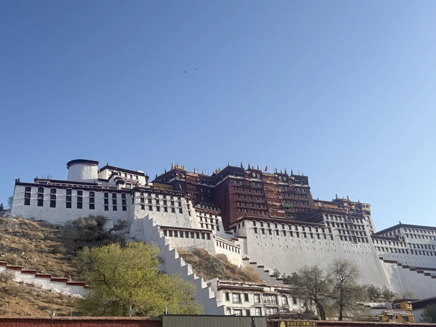 4月 波密-林芝-拉萨超详细小众出片景点