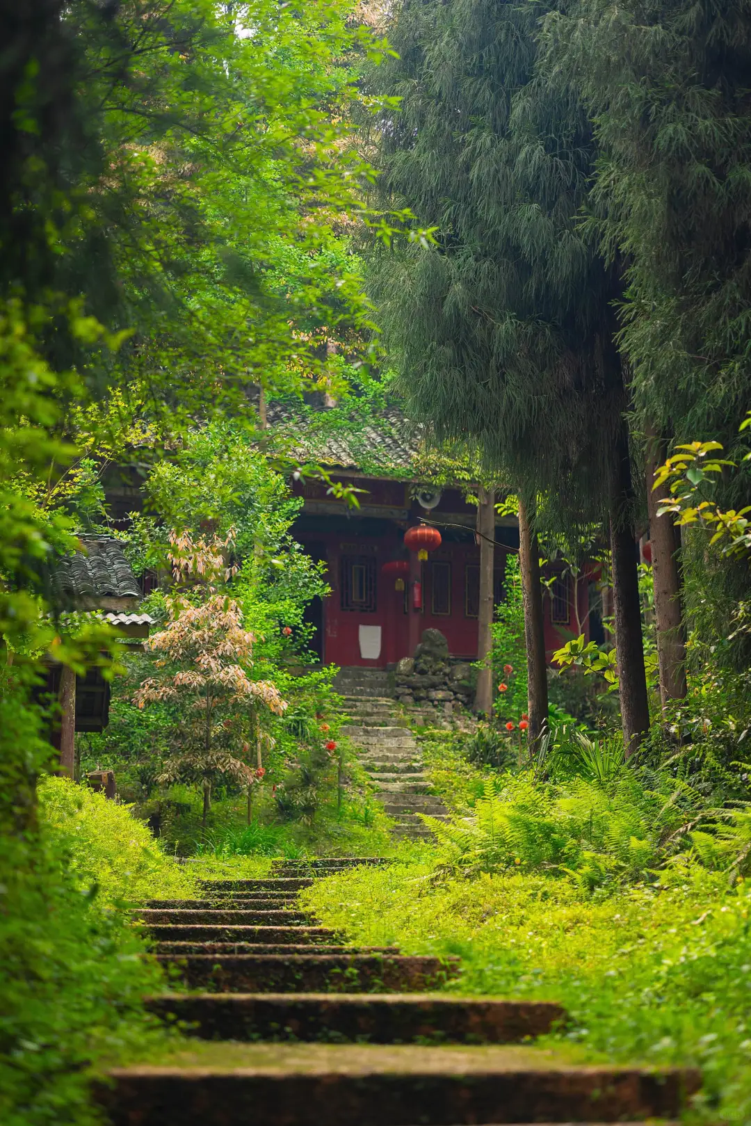 成都1.5h🍃小众冷门免费徒步秘境‼️