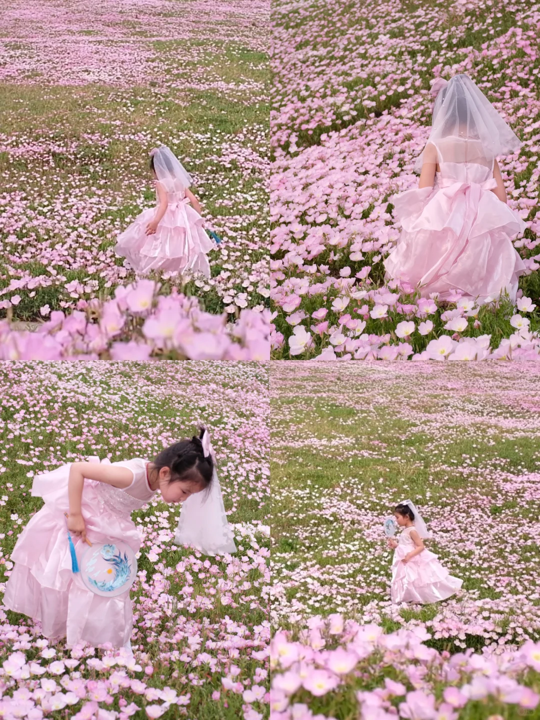 4.19南京周边无人花海