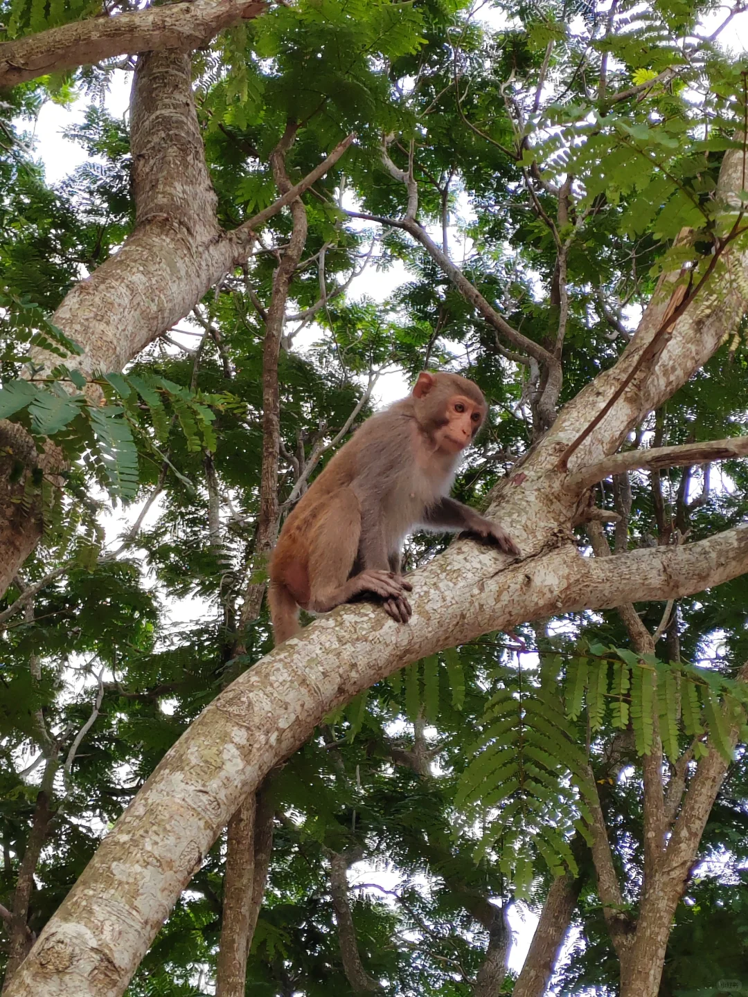 呆呆岛，适合发呆的地方！
