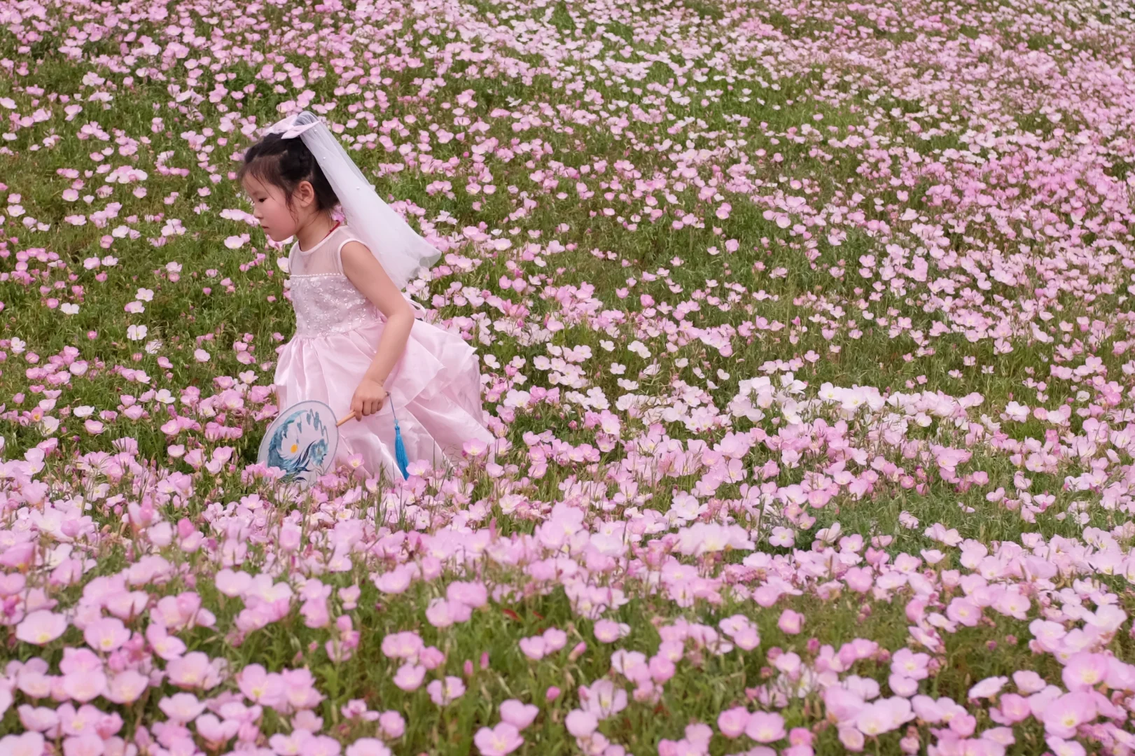 4.19南京周边无人花海