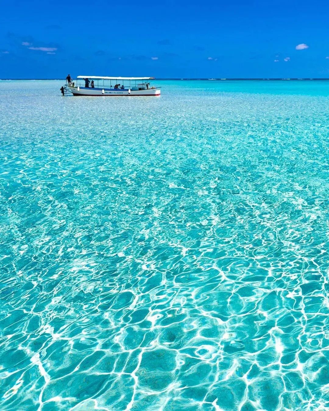 东京大阪去腻了，会玩的人都去九州了🌲