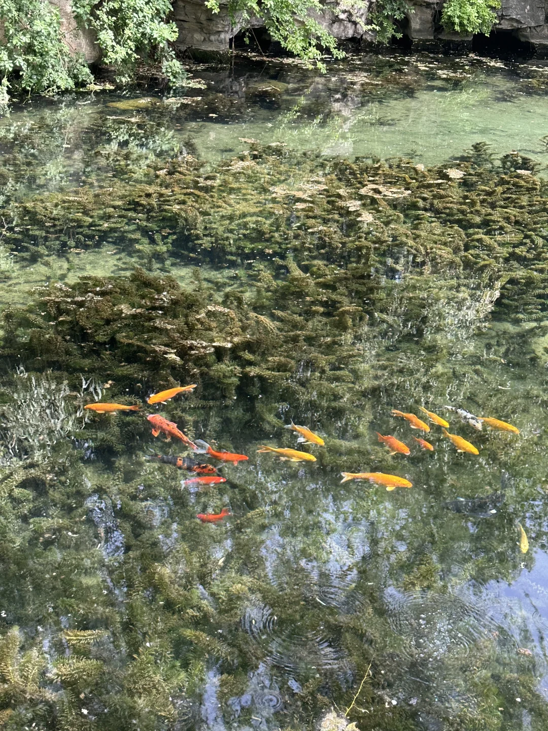 济南景点都去了……
