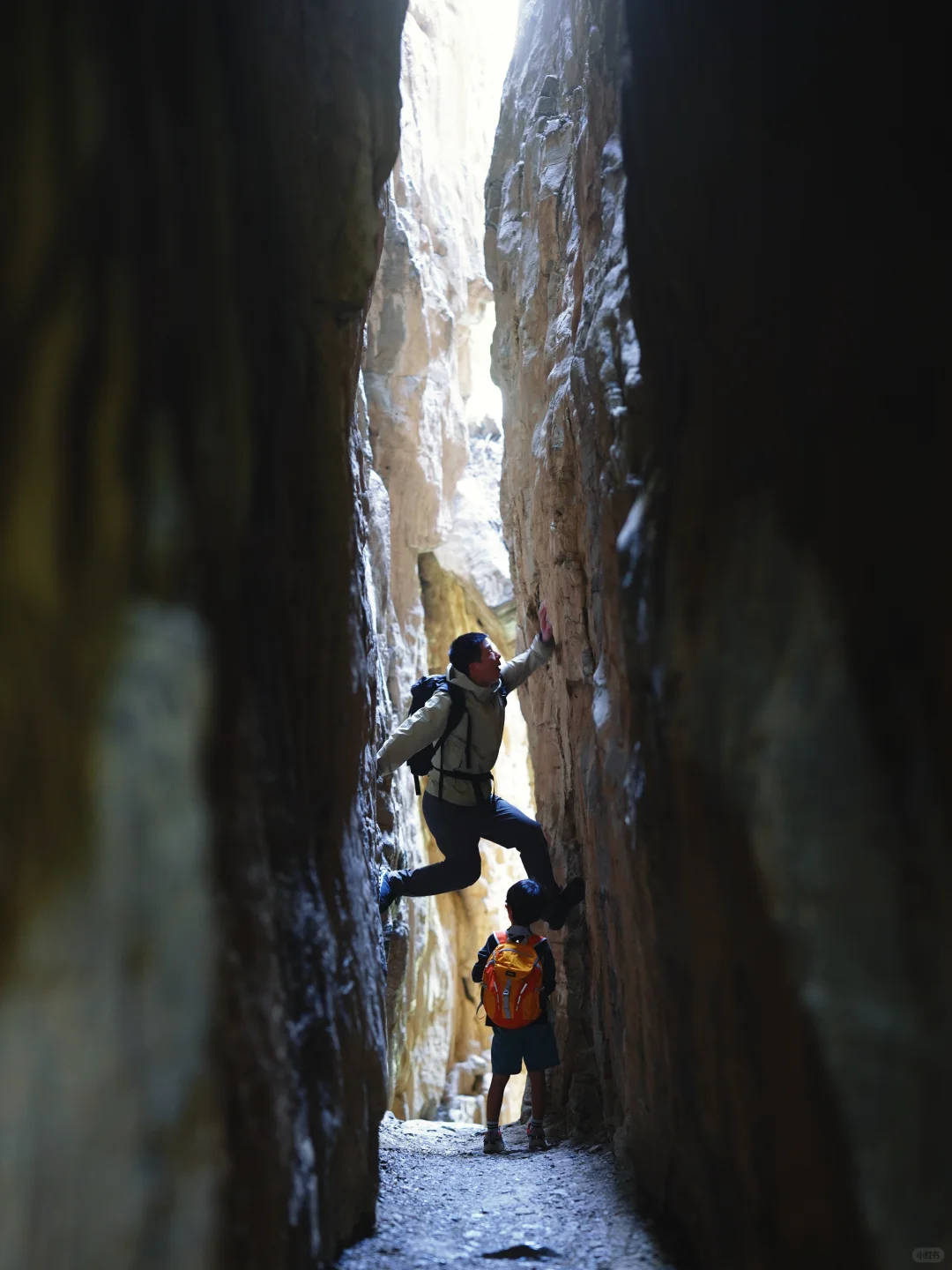 北京十万人围观的亲子徒步路线开放啦‼️