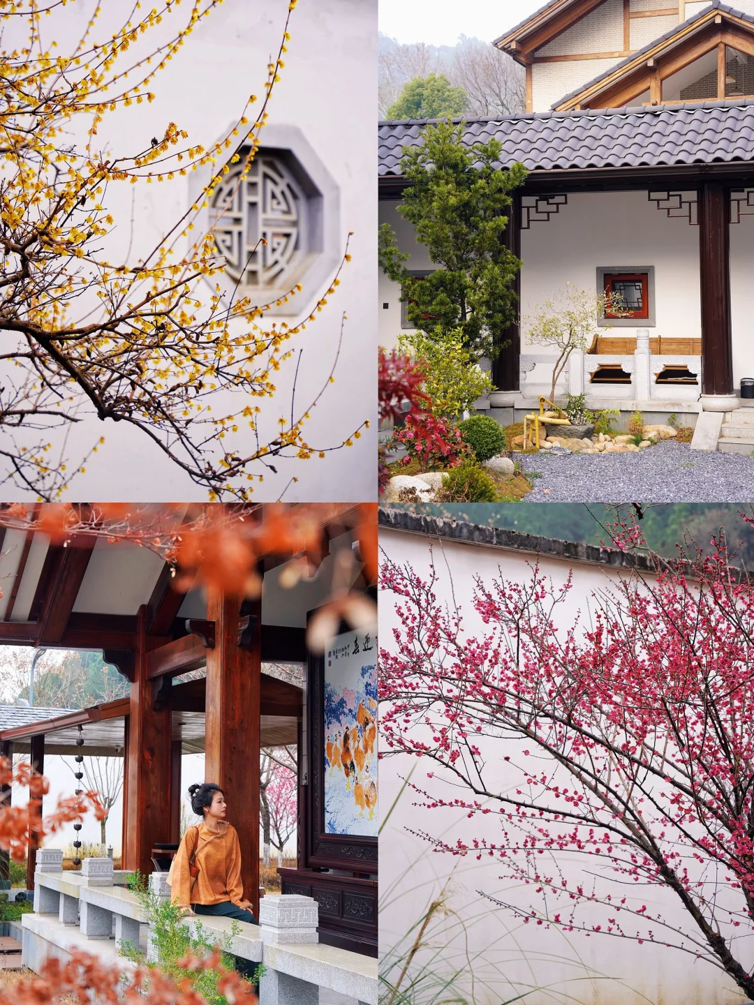 真的很难对景德镇祛魅…3-4月淡季出游赢麻了