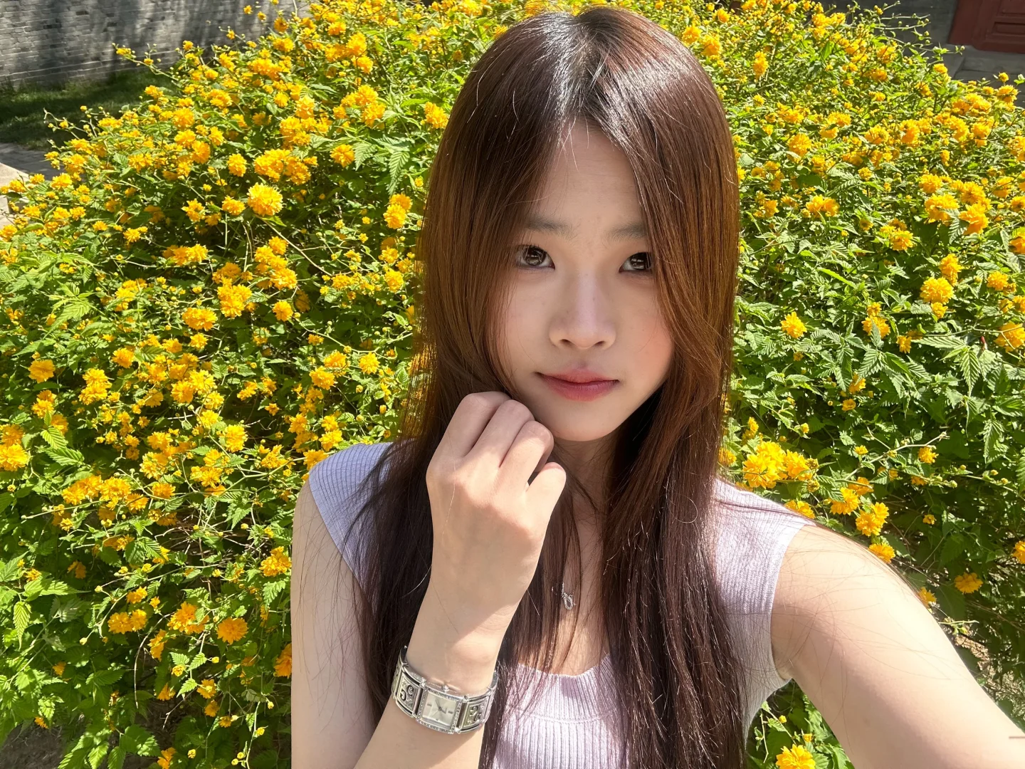 保定的景点大多都在一条路上