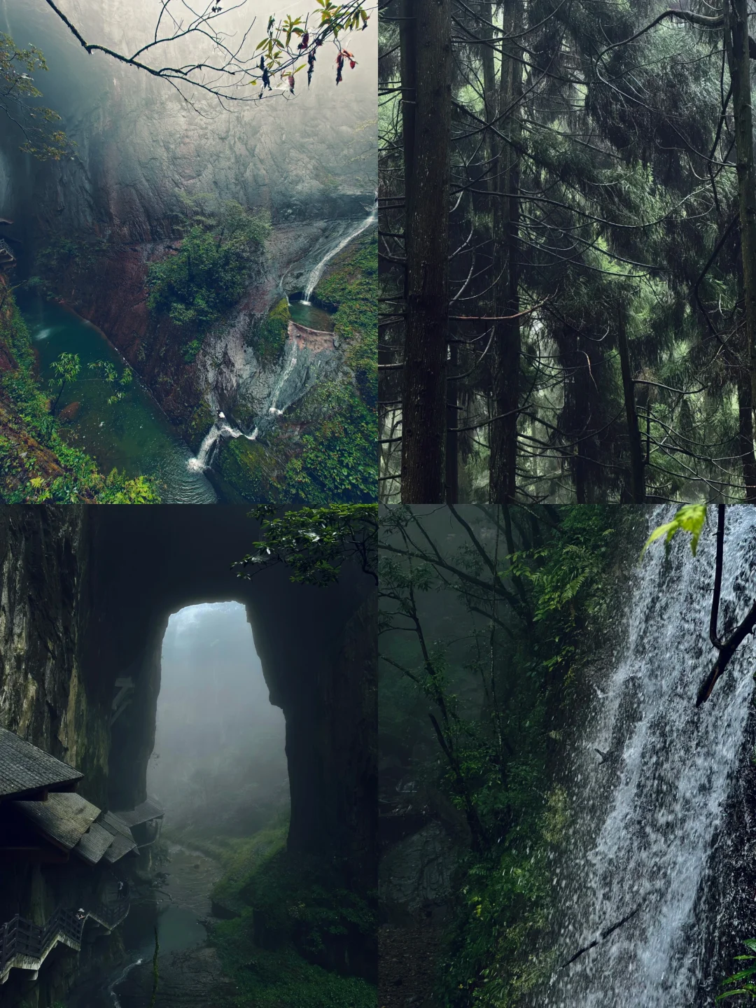 湖北22°c的森林秘境！像仙侠世界