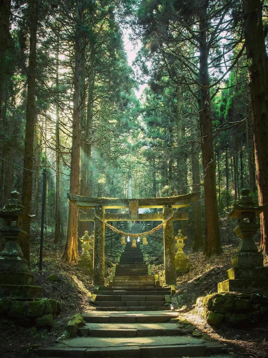 东京大阪去腻了，会玩的人都去九州了🌲