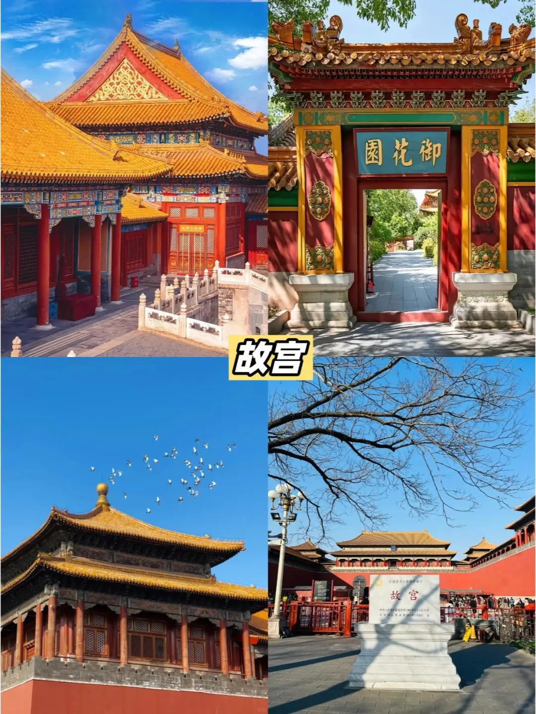 北京必打卡景点合集来洛 😝