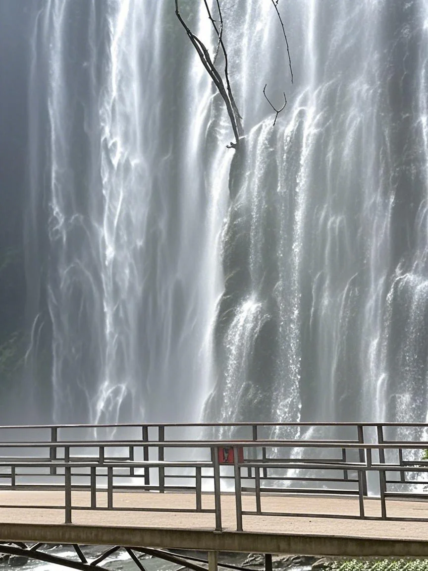 五一是谁还去桂林人挤人啊!!!