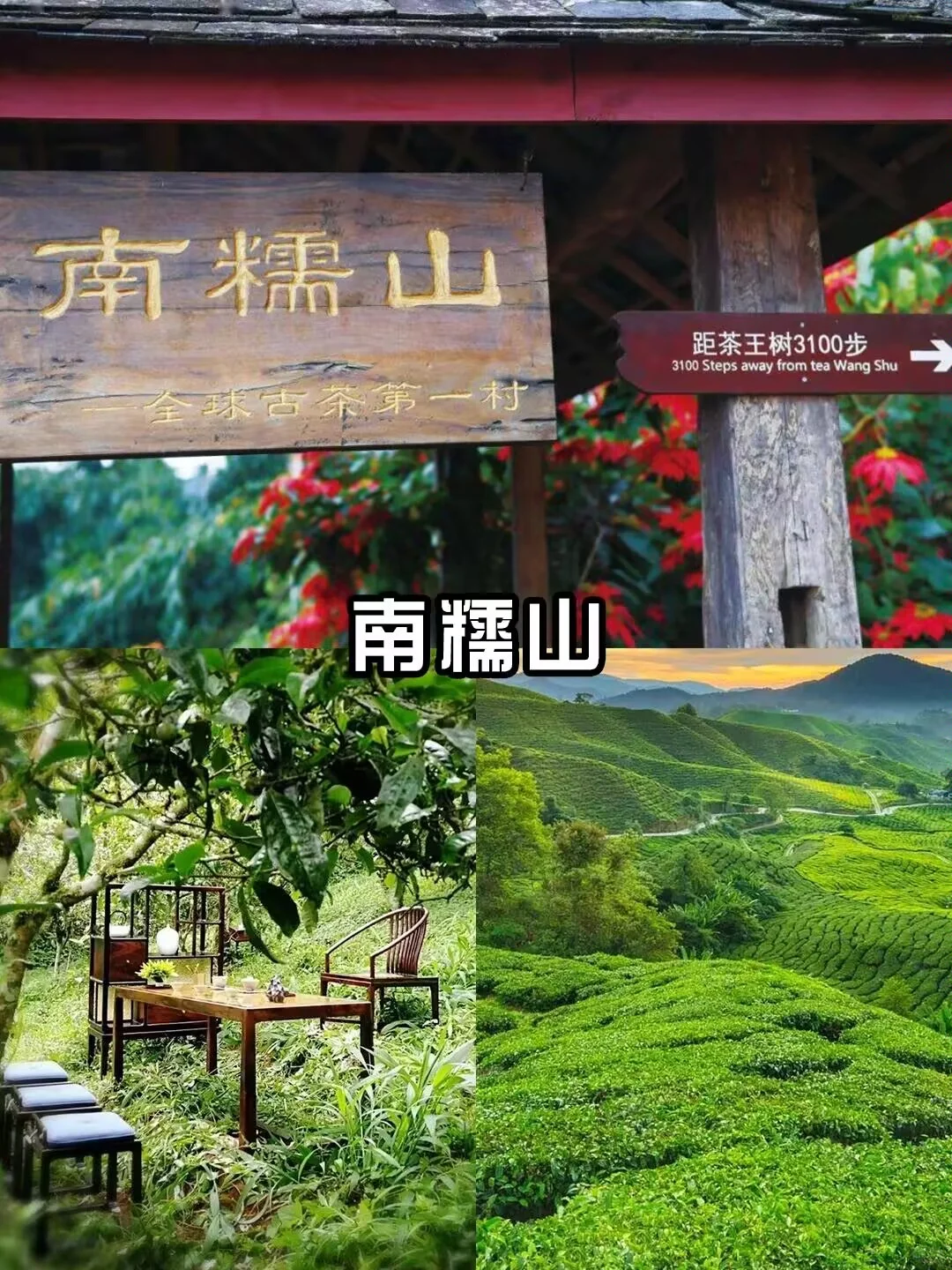 云南西双版纳的魔力有多大❗❗❗