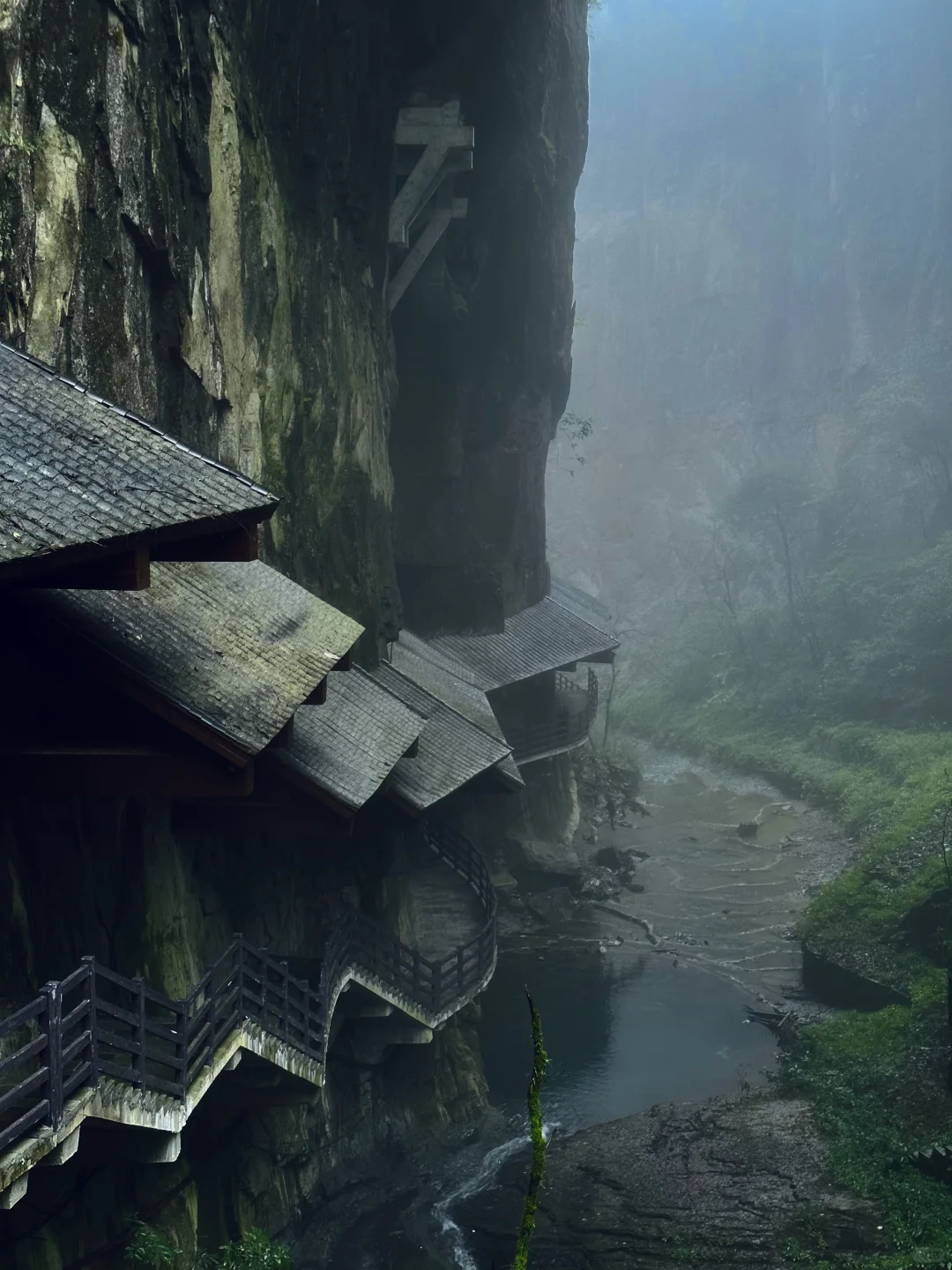 湖北22°c的森林秘境！像仙侠世界