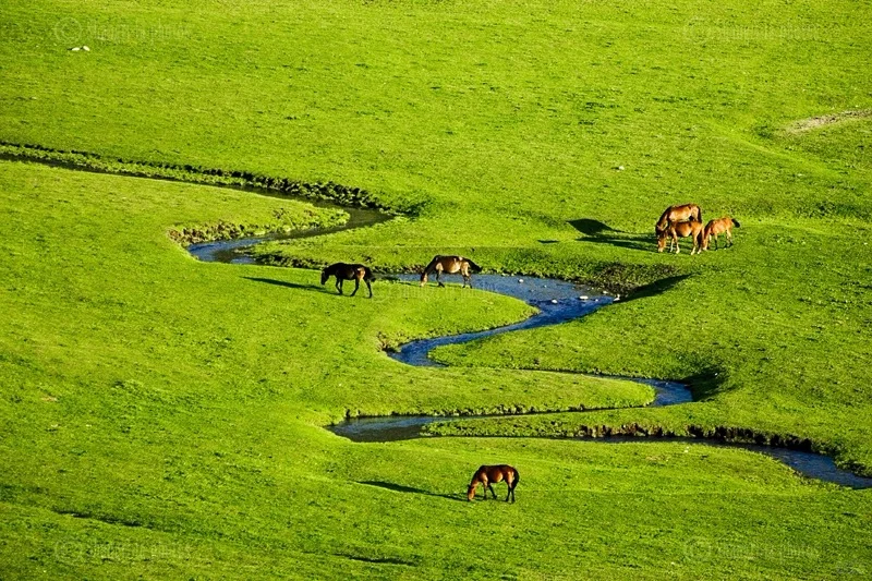 原生态人间秘境——唐布拉草原