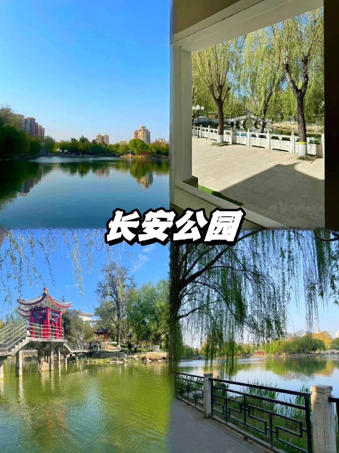 📍石家庄｜两天一夜人均300➕精华版攻略