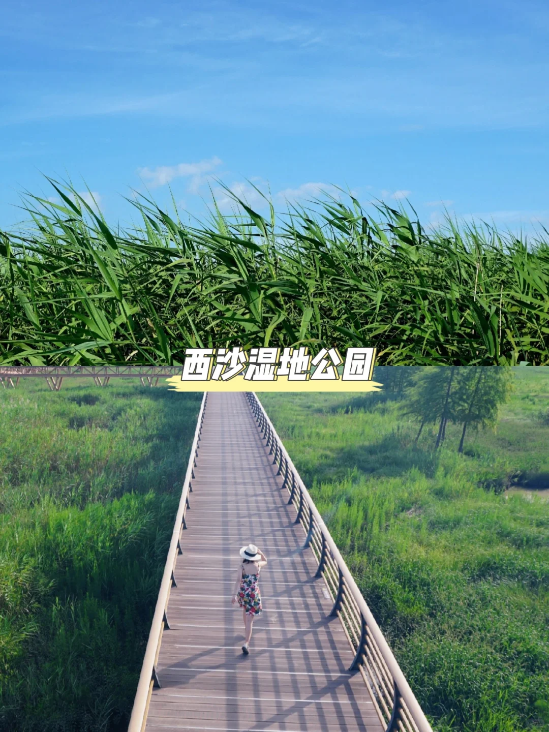 崇明适合穷游的11个免费景点！学生党快冲~