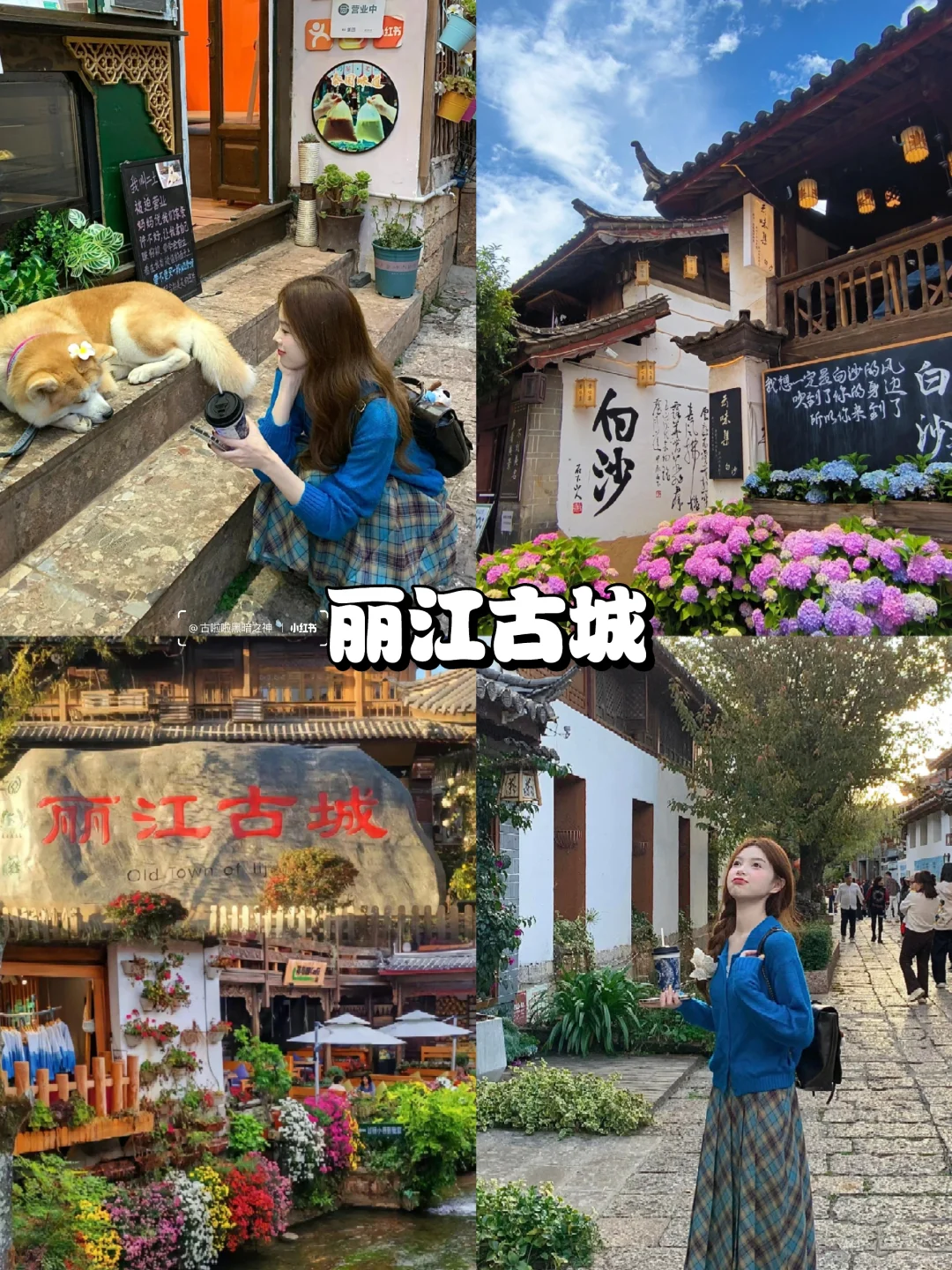 第一次来云南，不会做攻略请看👀这里