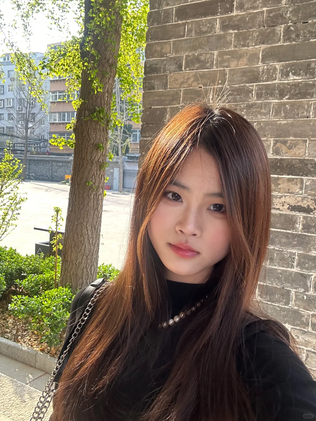 保定的景点大多都在一条路上