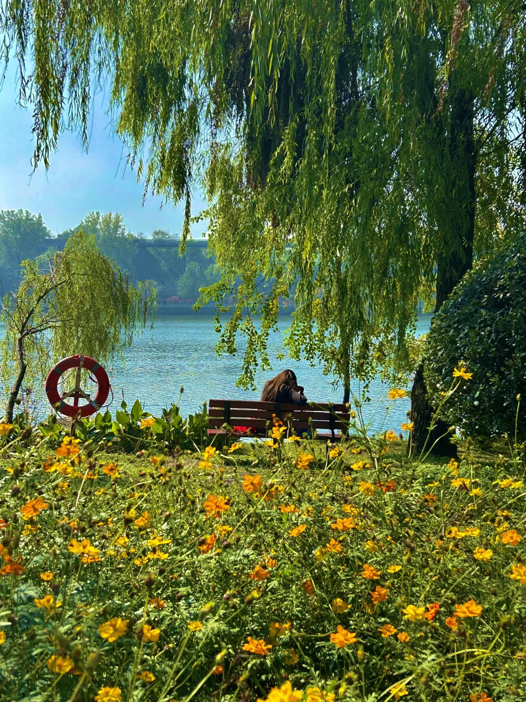 南京半日游!推荐❶条私藏小众秘境路线