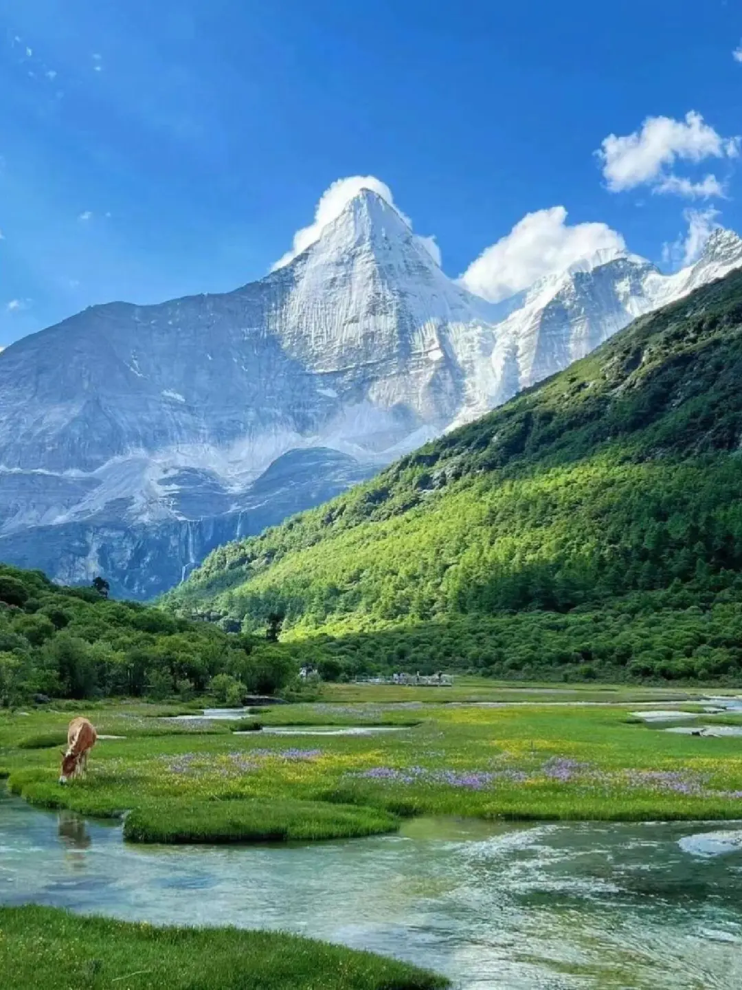 不是瑞士，是川西的夏天！