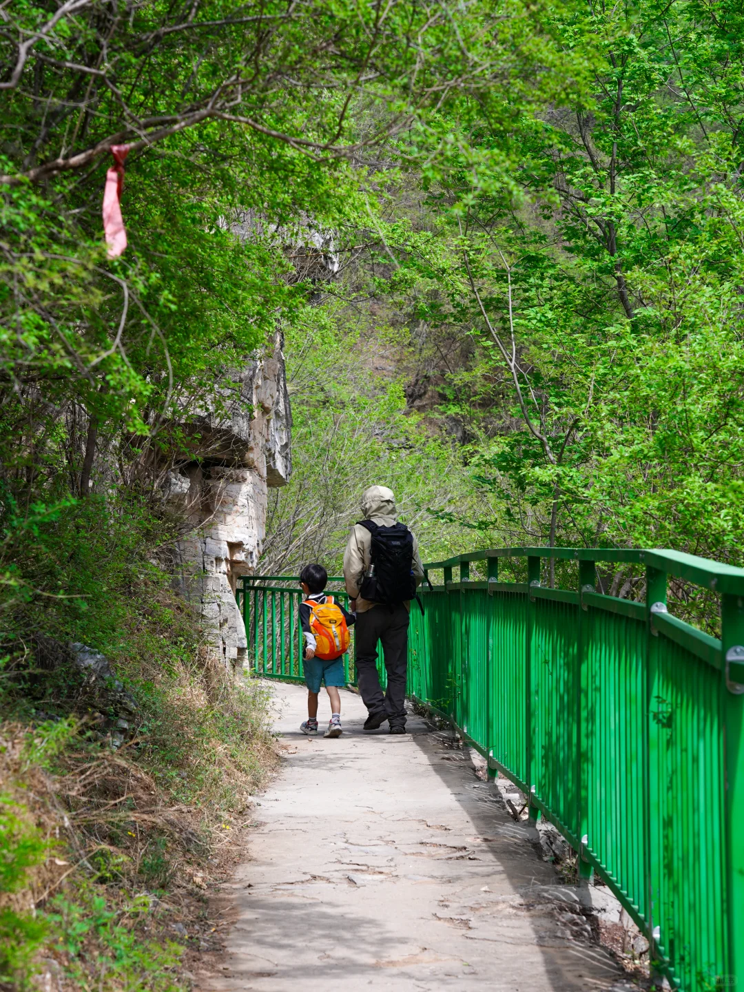 北京十万人围观的亲子徒步路线开放啦‼️