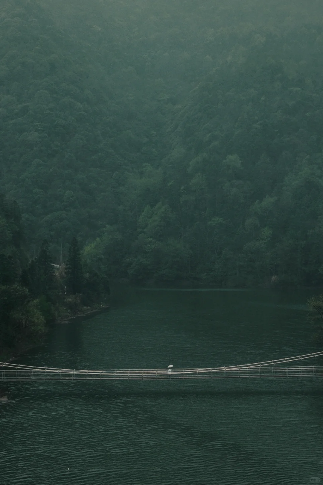 皖南有的地方宣而不藏,但很多人还是会错过