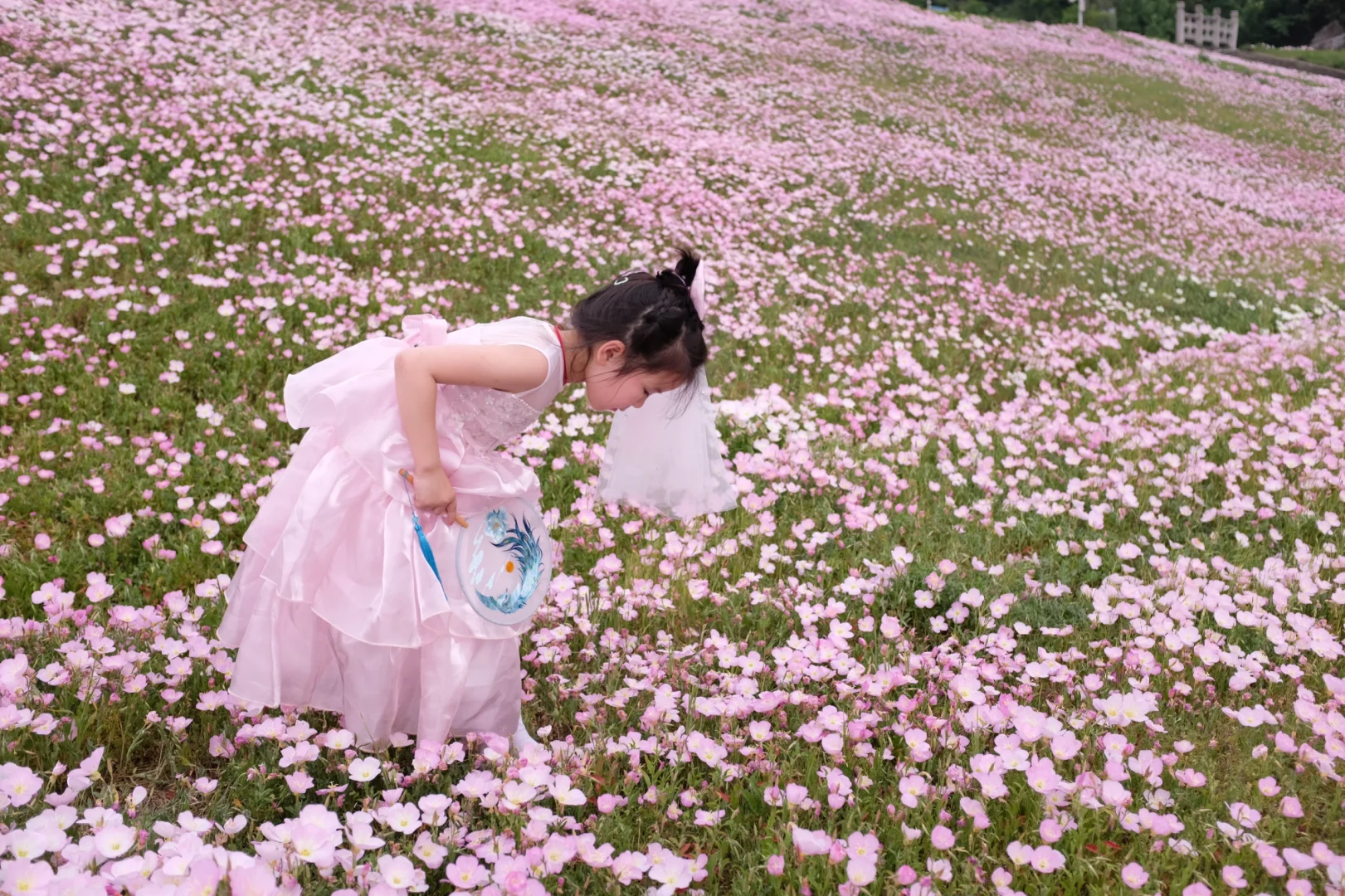 4.19南京周边无人花海