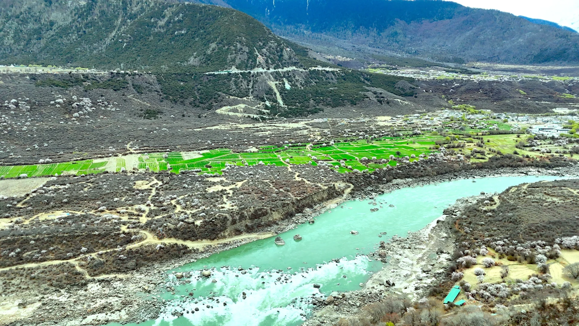 4月 波密-林芝-拉萨超详细小众出片景点