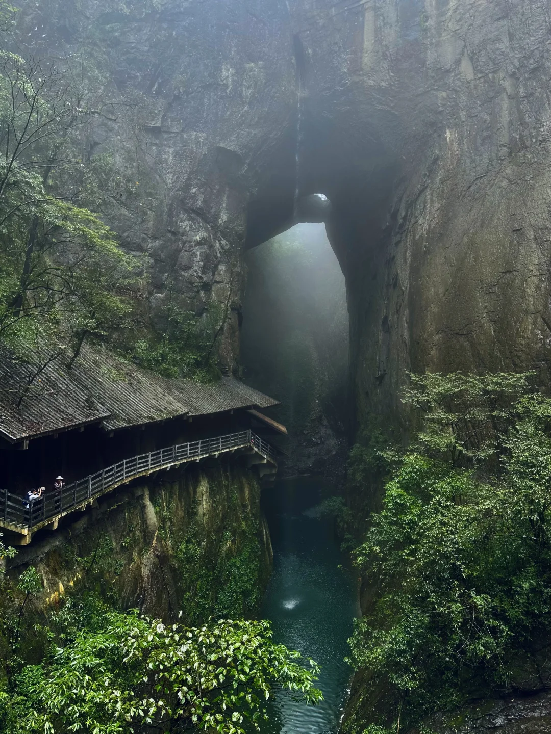 湖北22°c的森林秘境！像仙侠世界