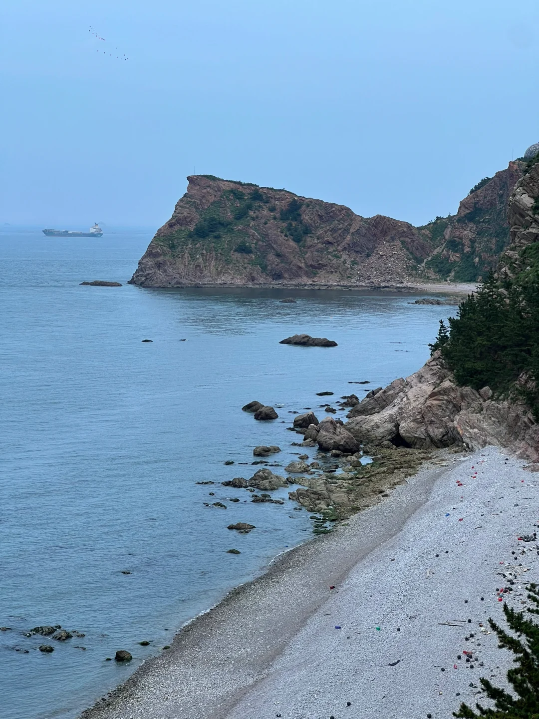 没出国!烟台被遗忘的小众海岛芝罘岛🌊好美!
