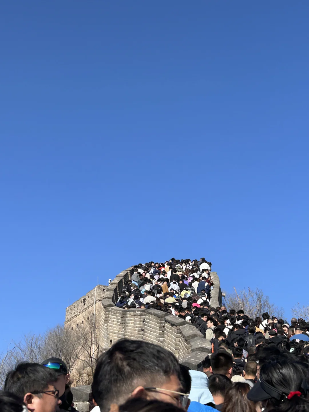 一句不到长城非好汉结果我在长城挤成女汉子
