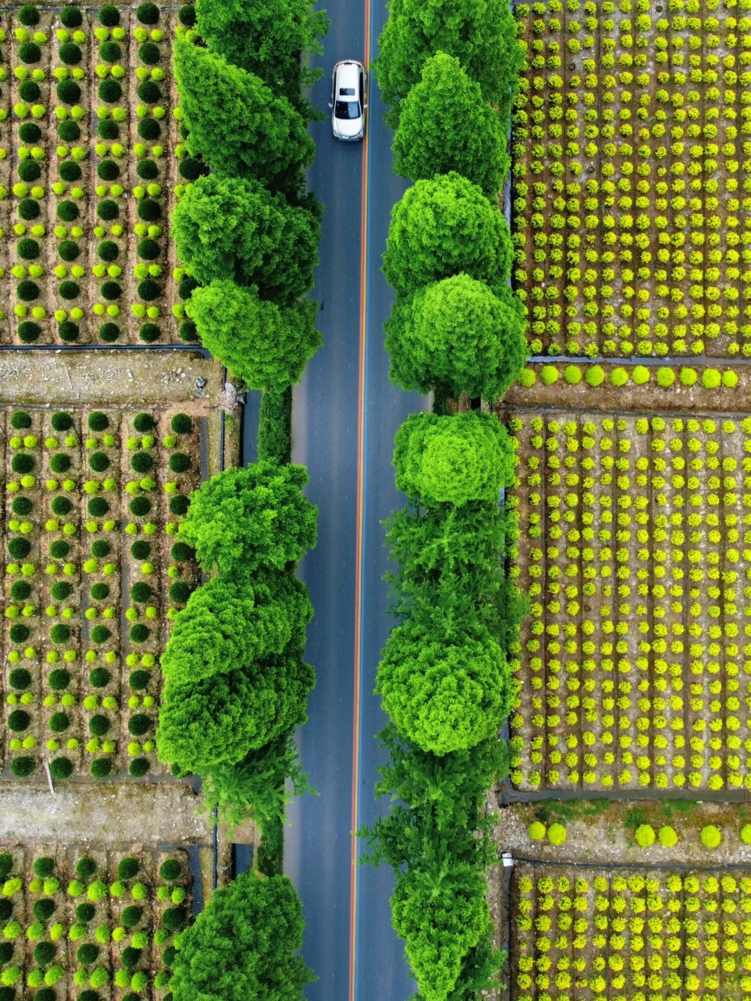 梁思成没骗我!这里真的是超冷门小众的小城!