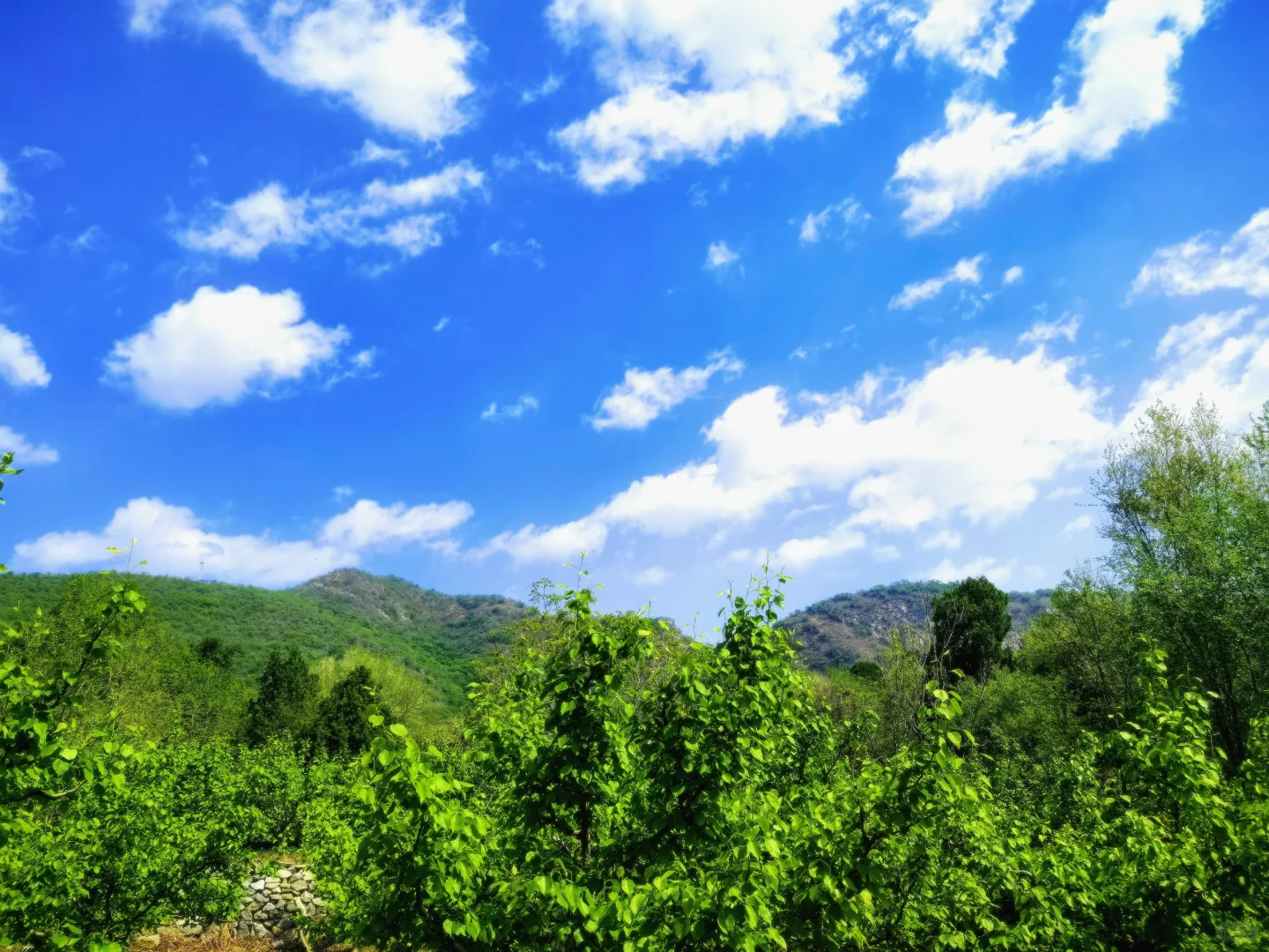 拥有“帅儿子”的一天