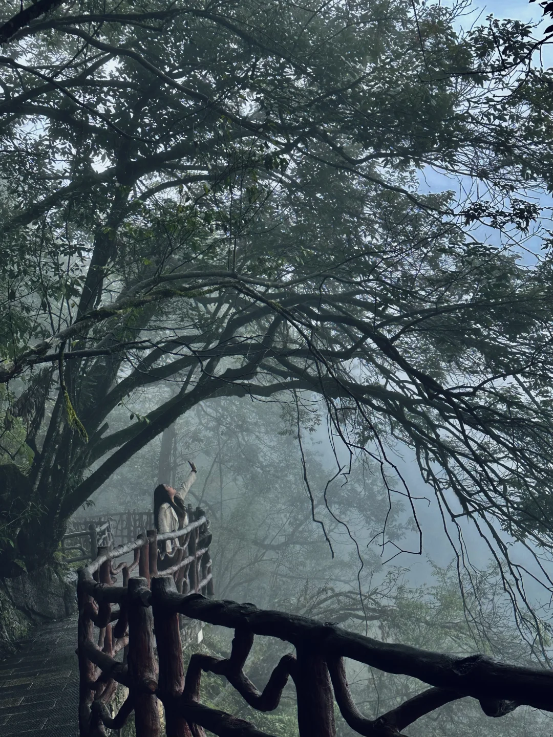 湖北22°c的森林秘境！像仙侠世界