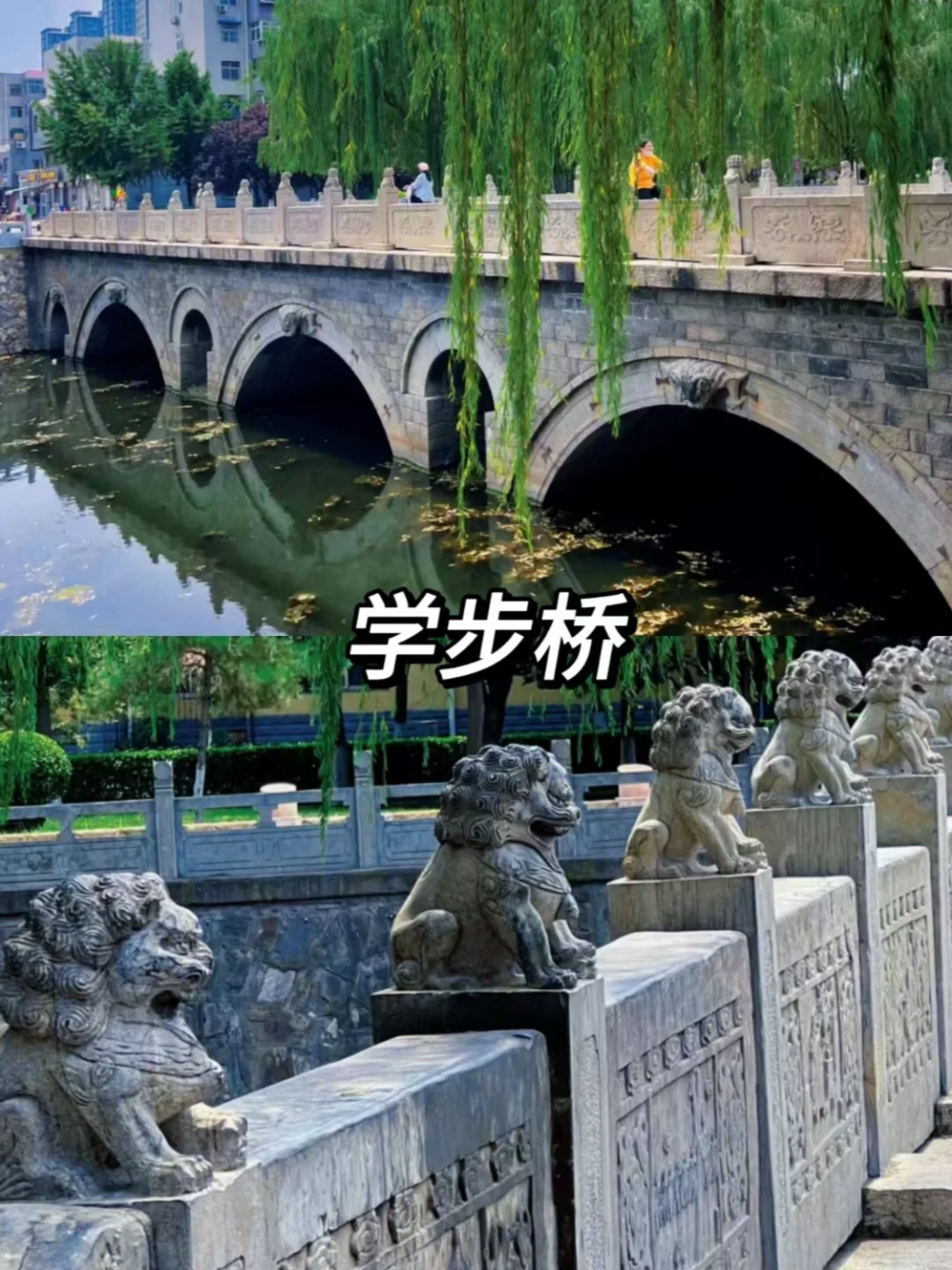 邯郸🚶｜大学生自助两天一夜旅游攻略📖