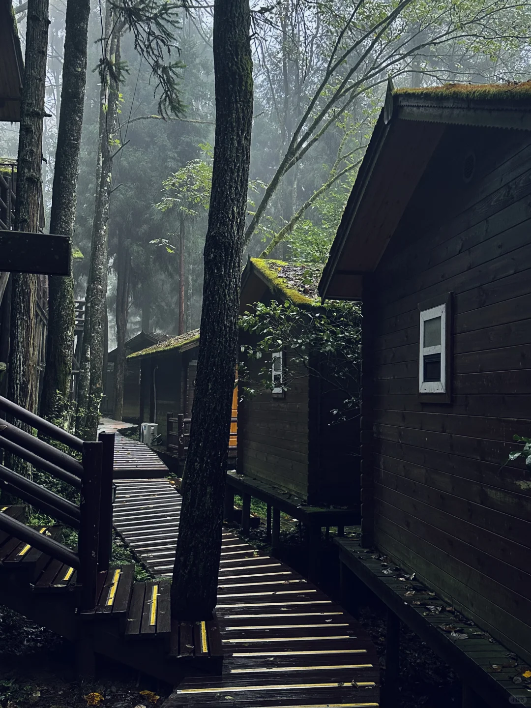 湖北22°c的森林秘境！像仙侠世界