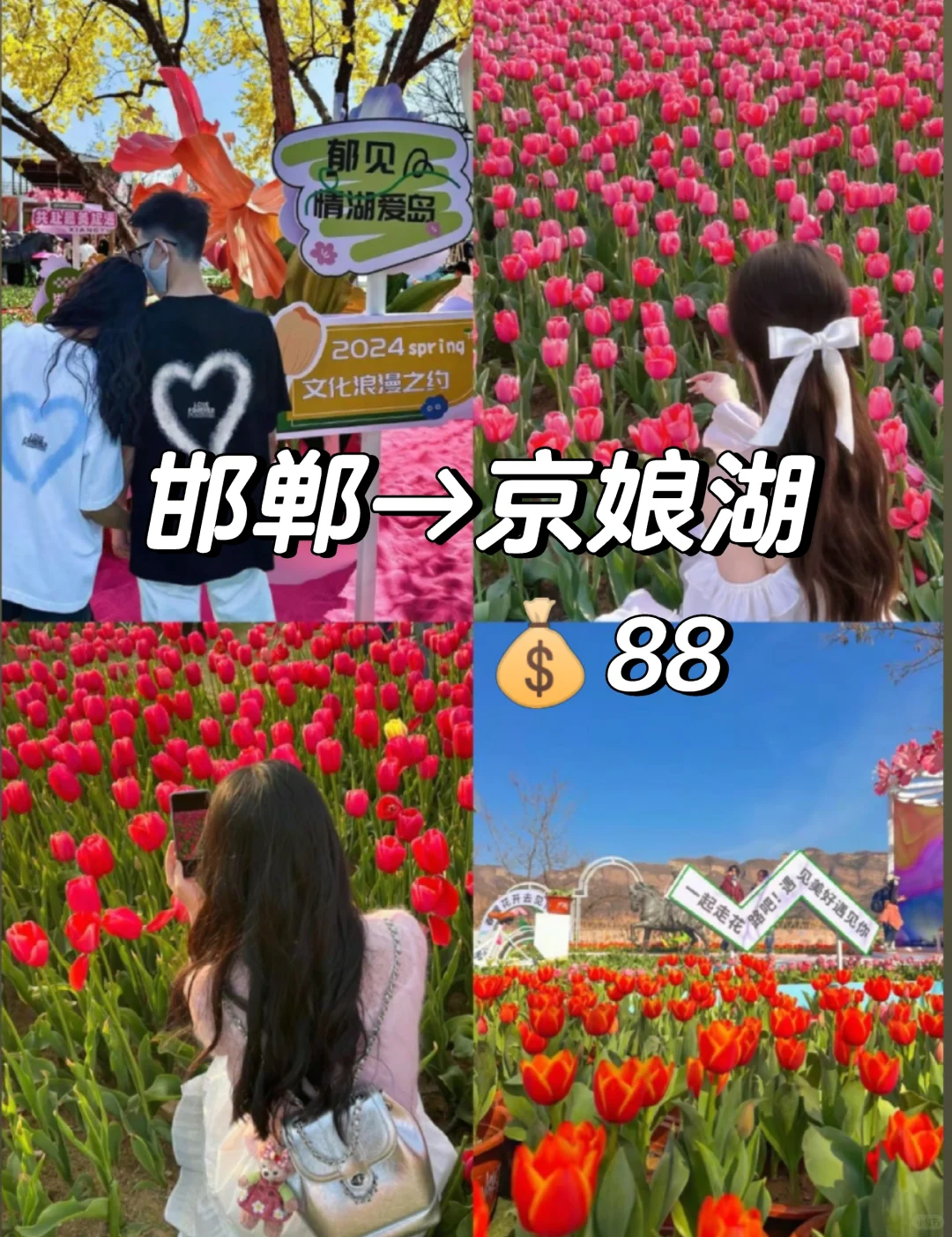 邯郸去京娘湖一日游，赏花+游山+玩水！