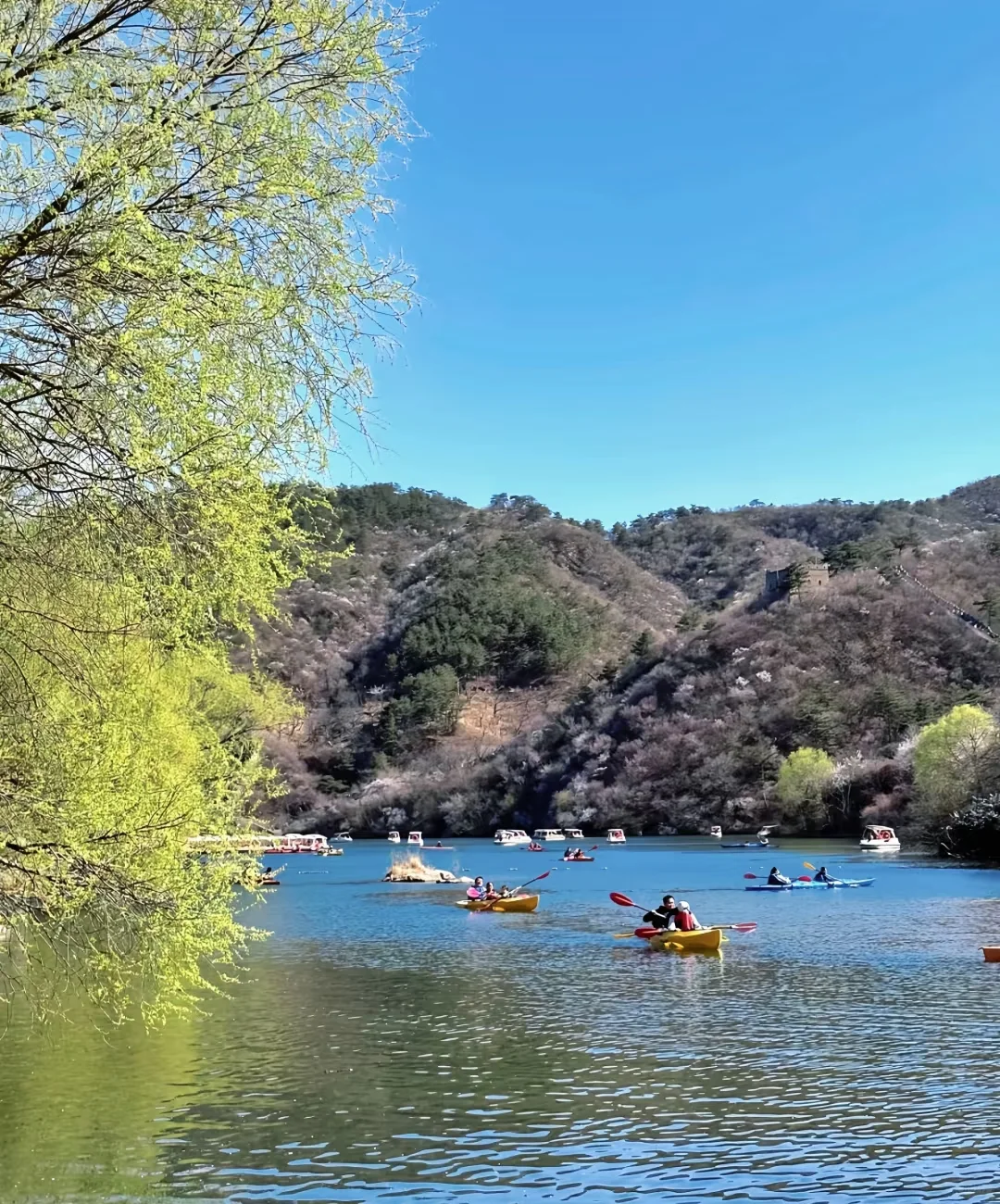发现了一个超级适合周末的地方！🌊