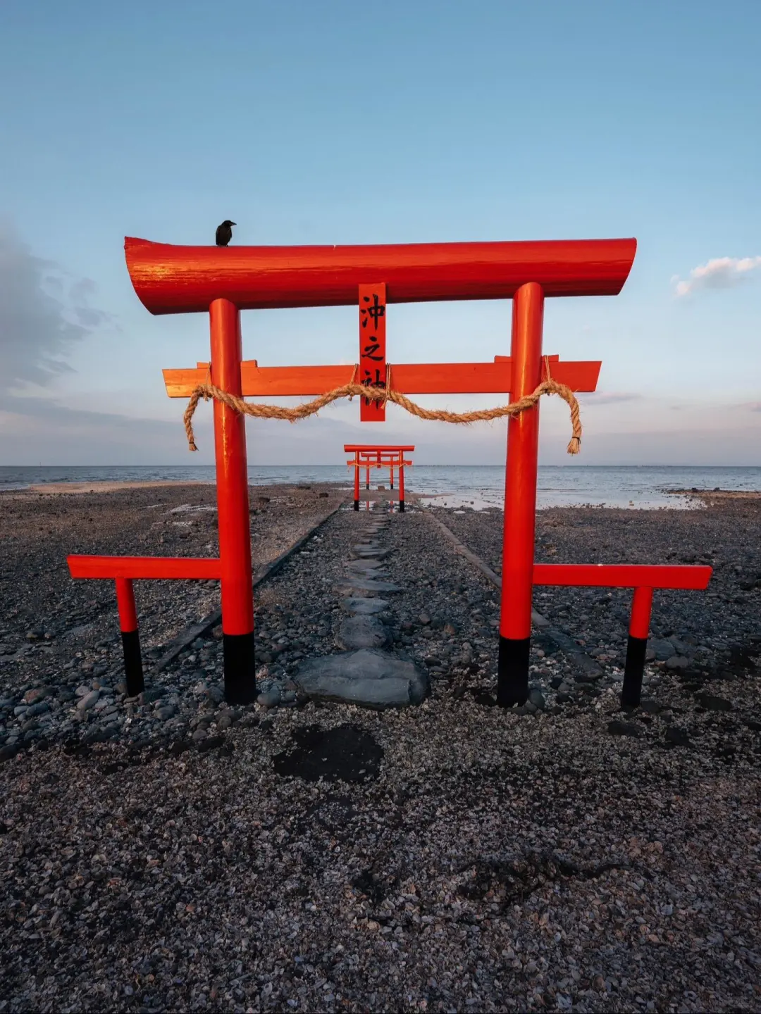 东京大阪去腻了，会玩的人都去九州了🌲