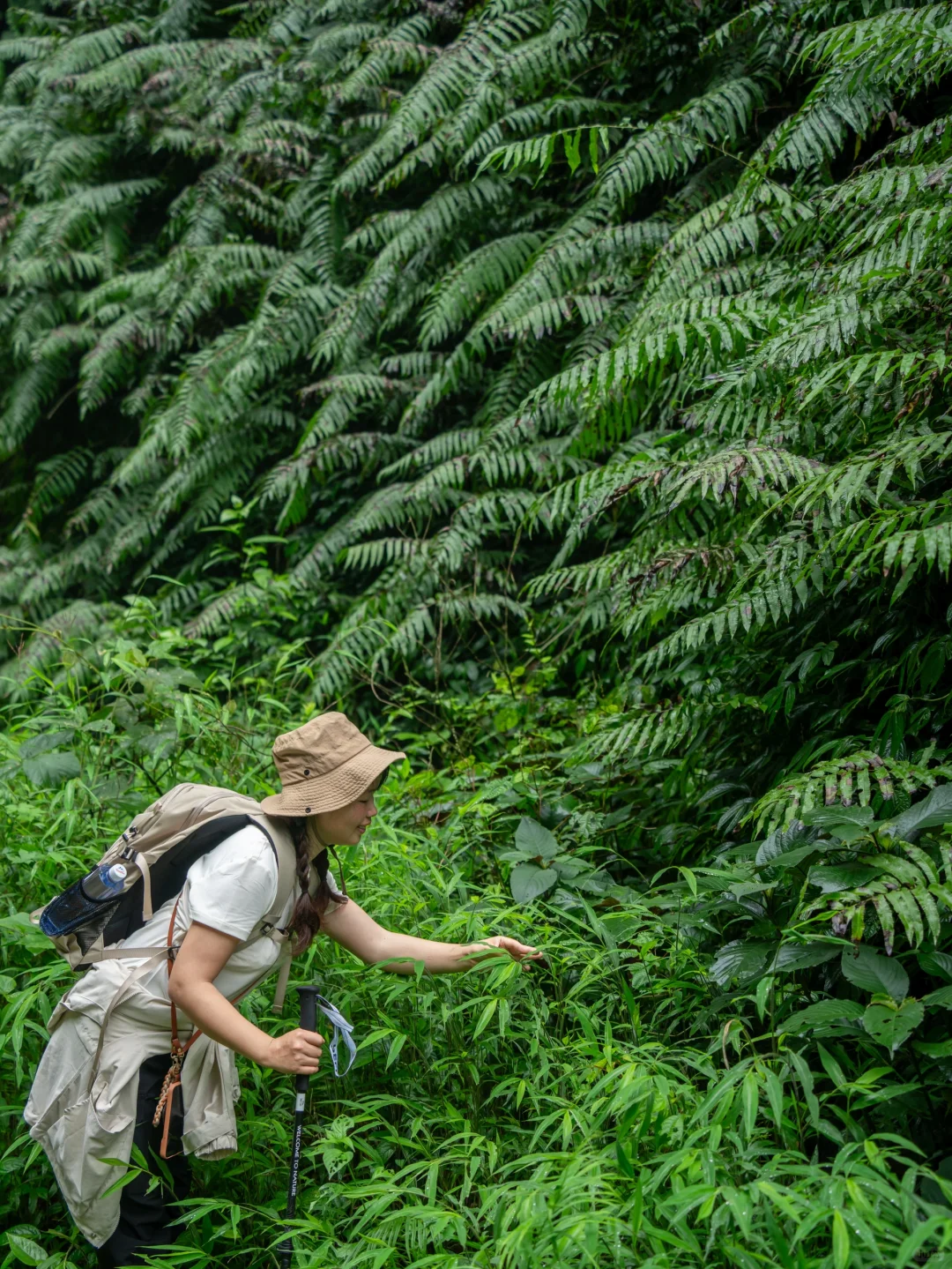 我宣布！我找到了中国最原始感的森林植物园