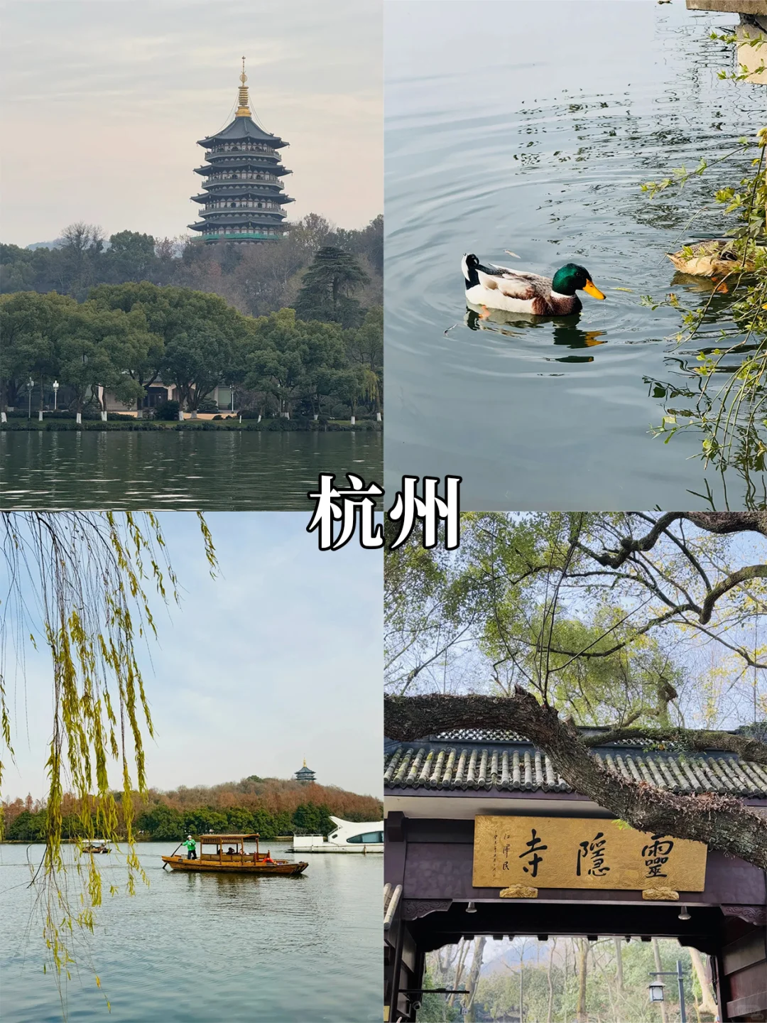 🌿五一江浙沪周边游 | 这 9 个宝藏一定刷到