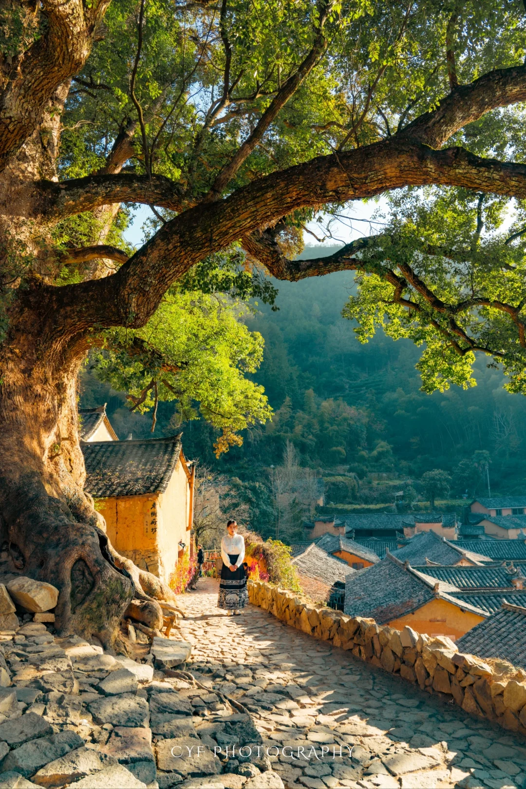 避世秘境，跟着国家地理探访松阳古村落