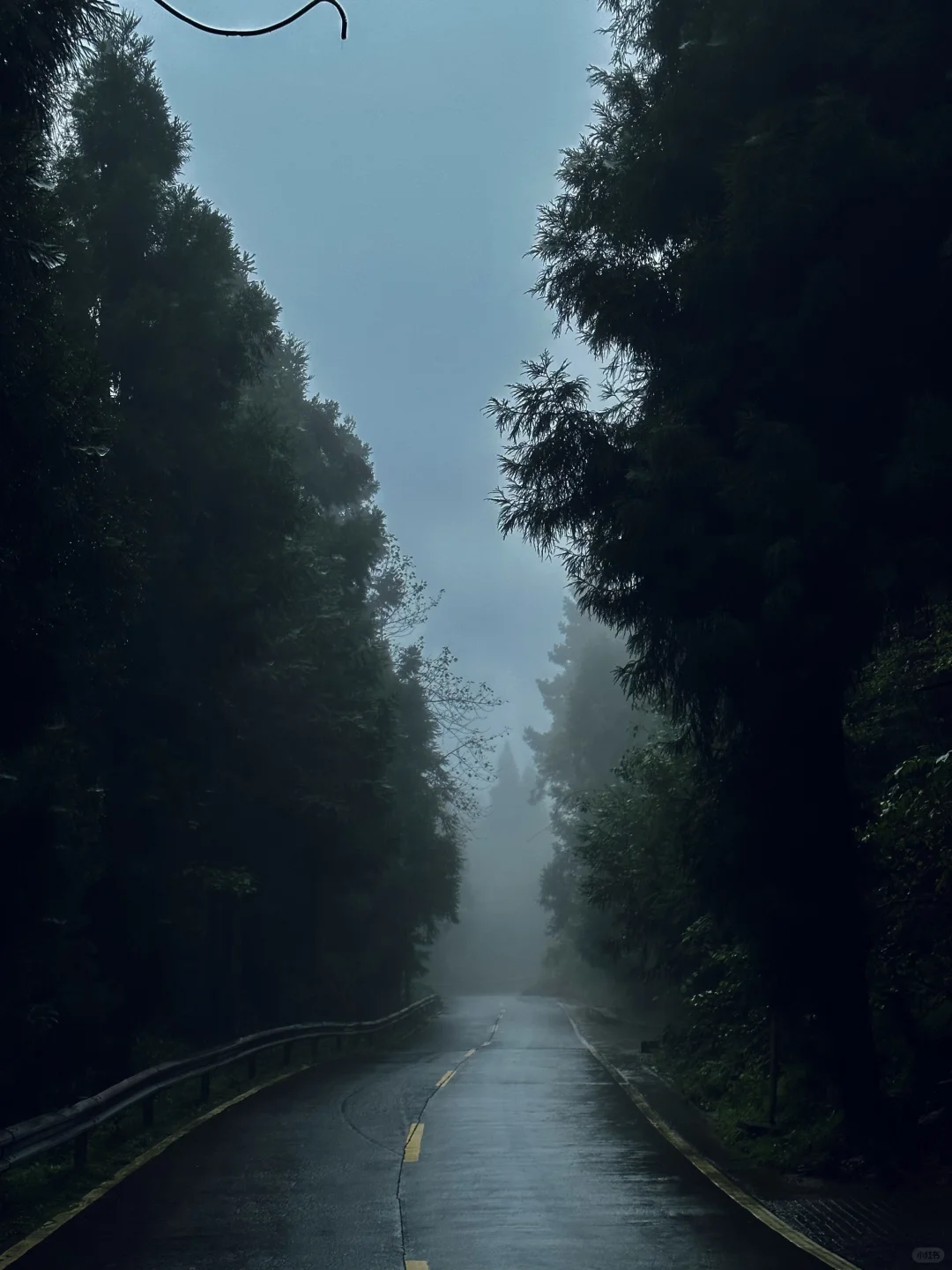 湖北22°c的森林秘境！像仙侠世界