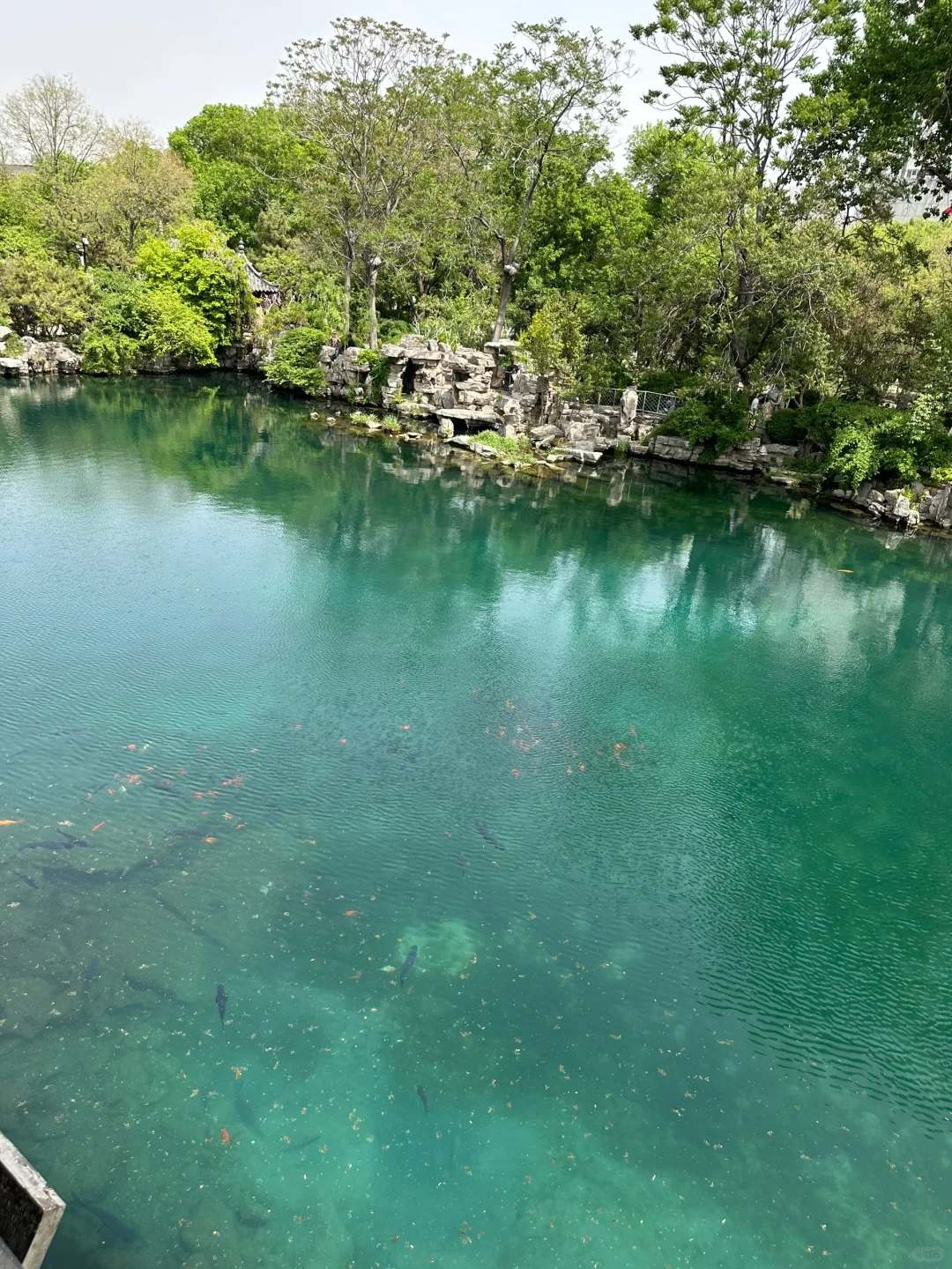 济南景点都去了……