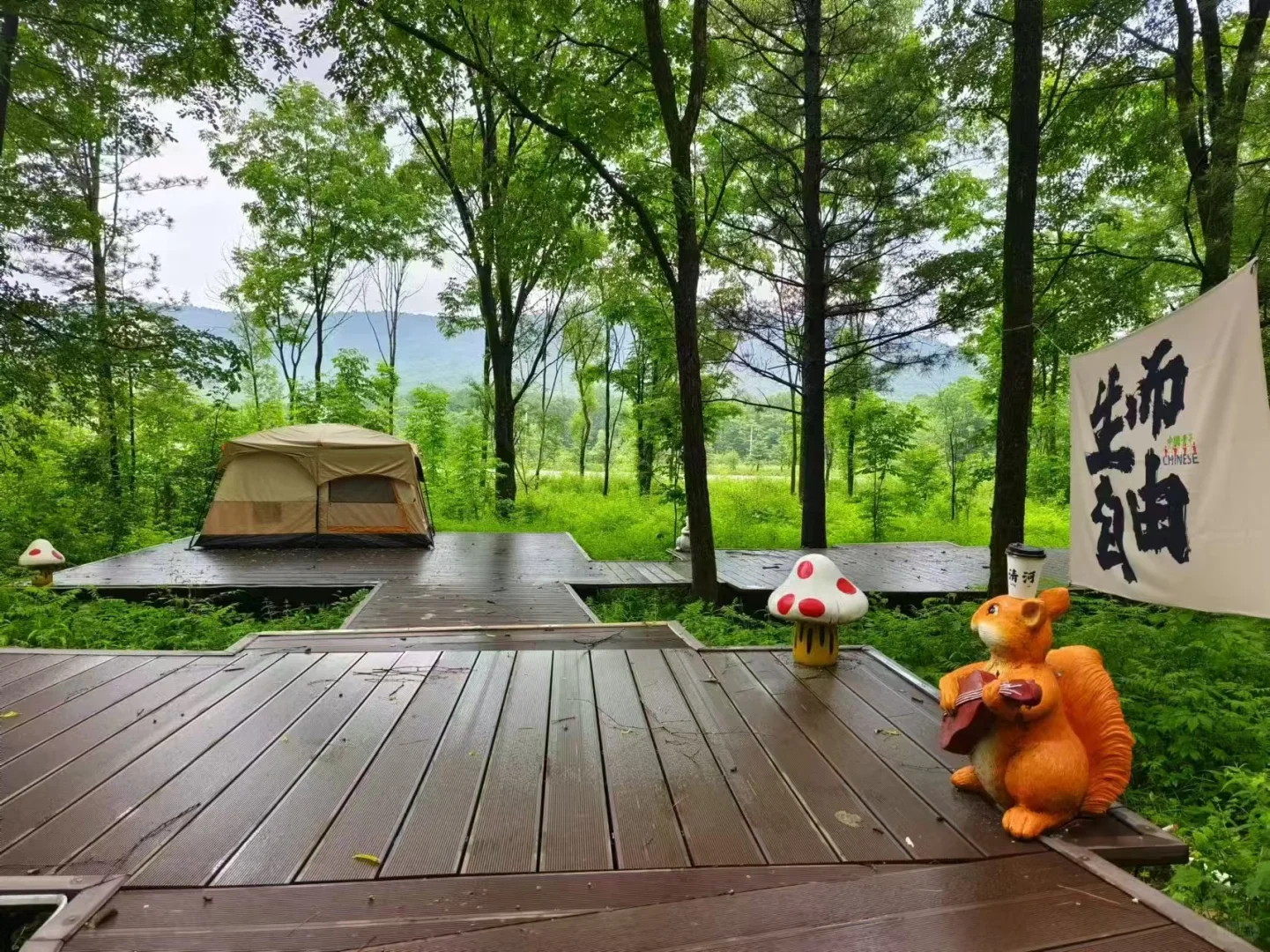 🌲【探秘哈尔滨周边游妈妈顶原始森林】🌲