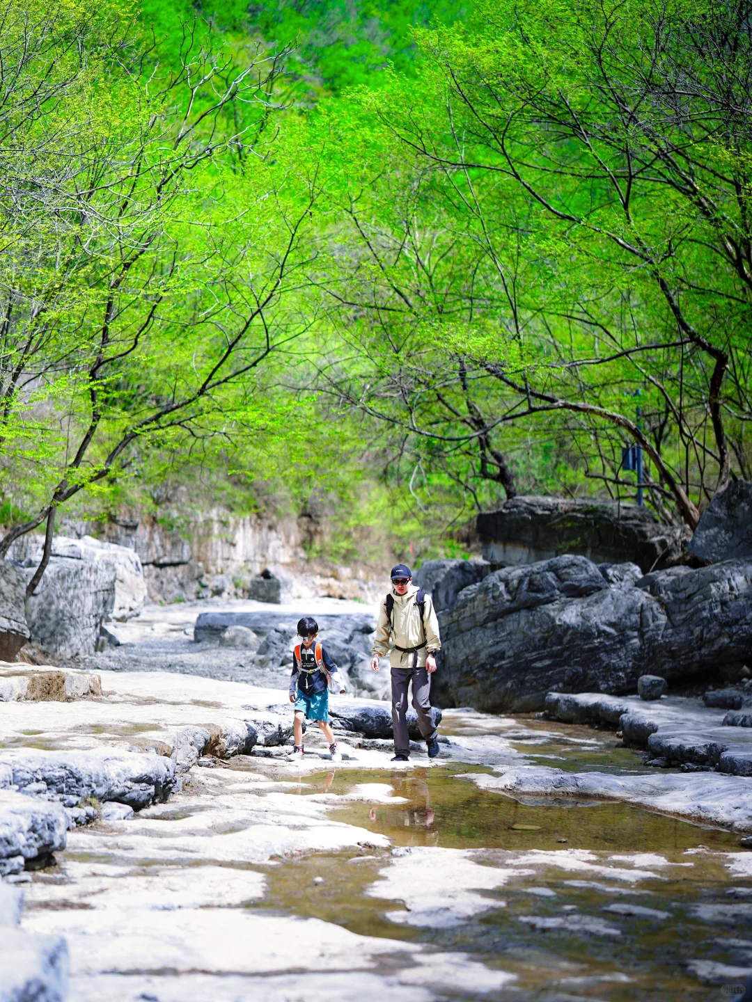 北京十万人围观的亲子徒步路线开放啦‼️